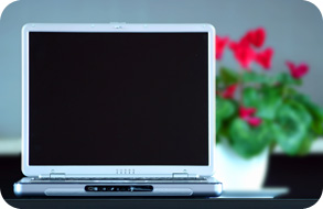 Image of a laptop with flowers in background.